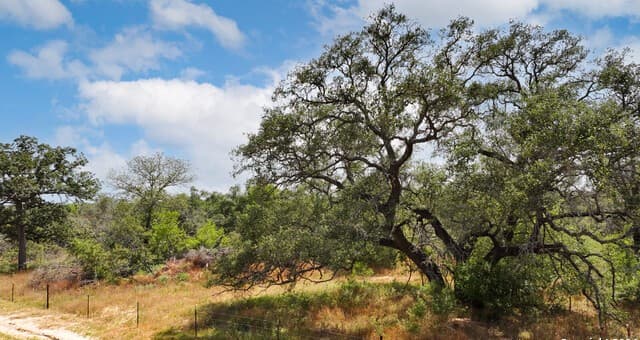 rental at 327 PR Sunset Vista Dr Lot 74 in Somerset, TX — photo 3