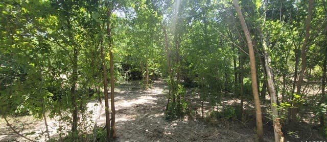 rental at 2602 Hicks Avenue in San Antonio, TX — photo 2