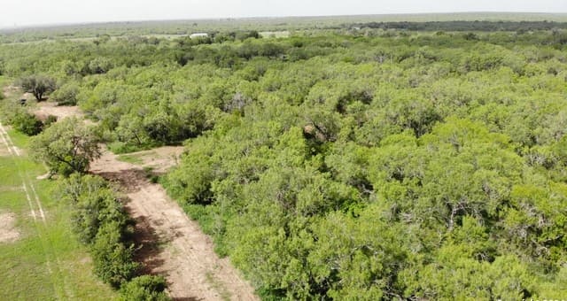 rental at 00 6th Street in Christine, TX — photo 1