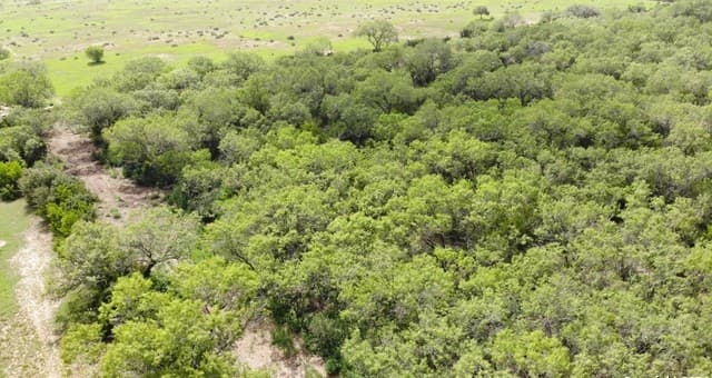 rental at 00 6th Street in Christine, TX — photo 4