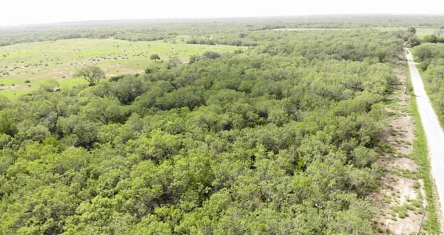 rental at 000 6th Street in Christine, TX — photo 5