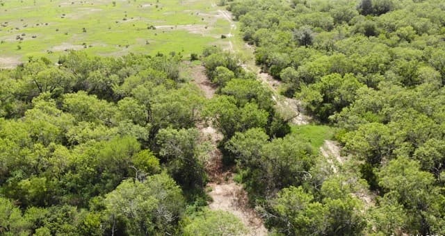 rental at 000 10th Street in Christine, TX — photo 4