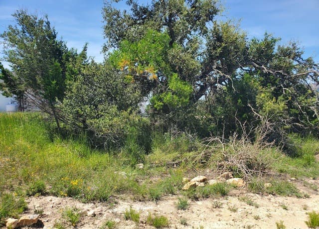 rental at 108 N Jesse Stiff in Blanco, TX — photo 5