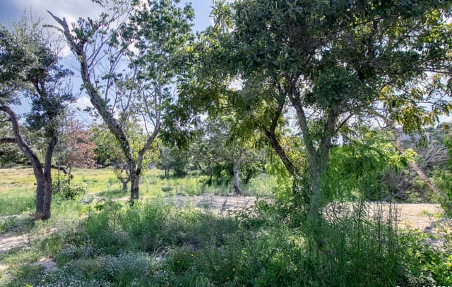 rental at LOT 6 Messina Cyn in San Antonio, TX — photo 2