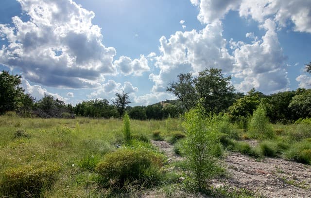 rental at LOT 6 Messina Cyn in San Antonio, TX — photo 5