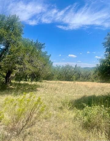 rental at LOT 11 Pr 1713 in Mico, TX — photo 4