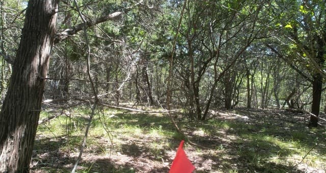 rental at 11736 Seiffert in Live Oak, TX — photo 2