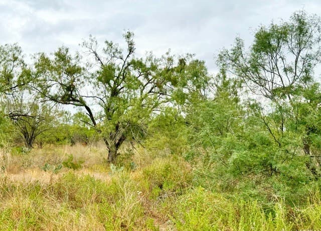 rental at 103 Cr 2636 in Devine, TX — photo 1