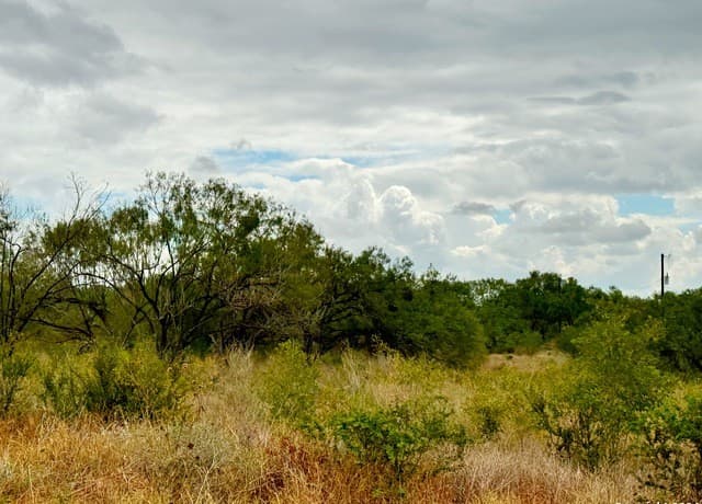 rental at 106 Cr 2638 in Devine, TX — photo 3