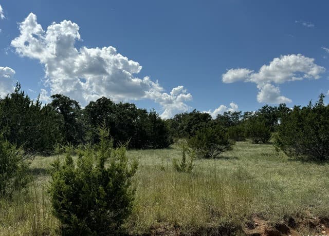 rental at 114 Peter Kleid Loop in Blanco, TX — photo 1