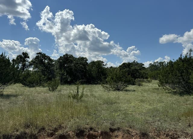 rental at 114 Peter Kleid Loop in Blanco, TX — photo 2
