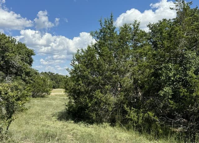 rental at 114 Peter Kleid Loop in Blanco, TX — photo 3