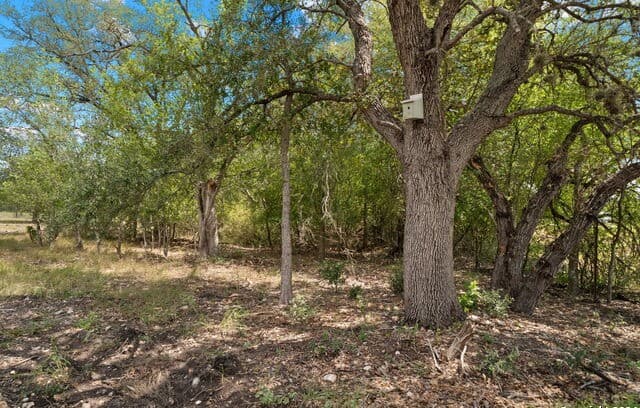 rental at TBD Highway 90 in Castroville, TX — photo 5