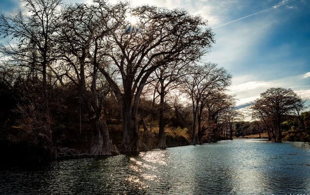 rental at 272 Restlesswind in Spring Branch, TX — photo 5
