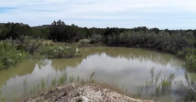 rental at 932 High Country Rd in Blanco, TX — photo 5