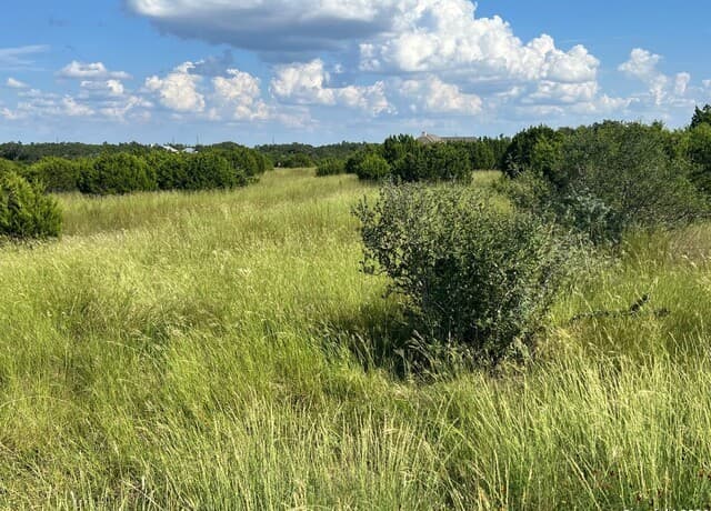 rental at 311 Bosque Ridge in Spring Branch, TX — photo 5