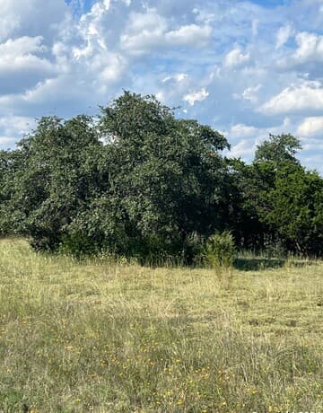 rental at 317 Bosque Ridge in Spring Branch, TX — photo 1