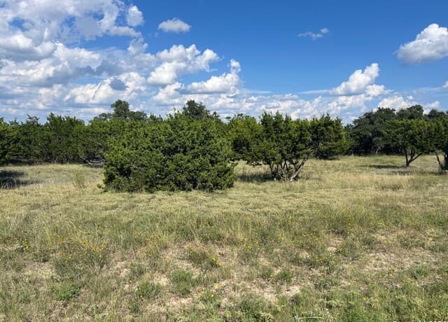 rental at 317 Bosque Ridge in Spring Branch, TX — photo 2