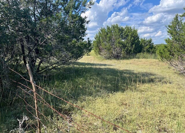 rental at 317 Bosque Ridge in Spring Branch, TX — photo 5