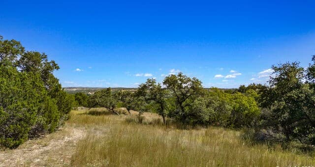 rental at 455 Blackbird Dr in Spring Branch, TX — photo 5