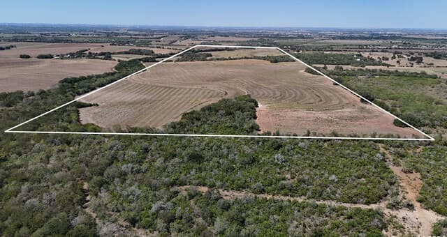 Home for sale at 16568 New Berlin Rd in St Hedwig, TX — photo 4