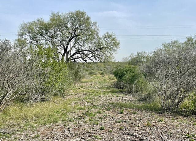 rental at 173 County Road 1670 in Moore, TX — photo 1