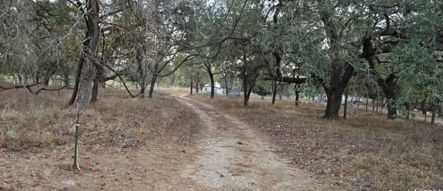 3-bedroom rental at 785 Waycross Rd in San Antonio, TX — photo 2