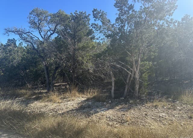 rental at 350 Restless Wind in Spring Branch, TX — photo 1