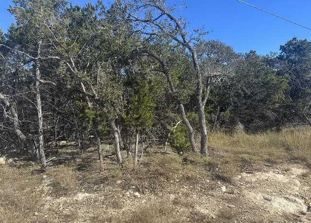 rental at 350 Restless Wind in Spring Branch, TX — photo 2