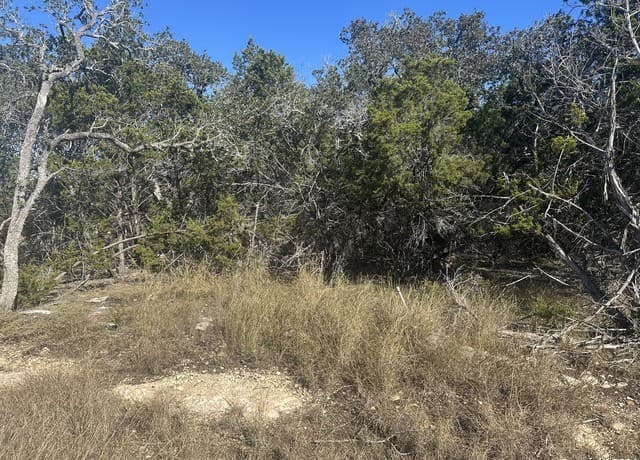 rental at 350 Restless Wind in Spring Branch, TX — photo 3