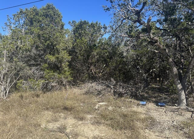 rental at 350 Restless Wind in Spring Branch, TX — photo 4