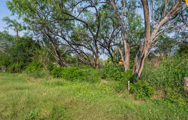rental at TBD W Jett Rd in San Antonio, TX — photo 4