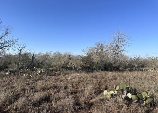 rental at 5870 County Road 405 in Floresville, TX — photo 2