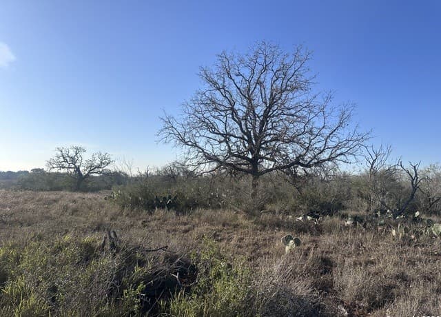 rental at 5870 County Road 405 in Floresville, TX — photo 3