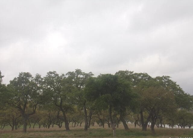 rental at 760 Pacific Pl in Spring Branch, TX — photo 3