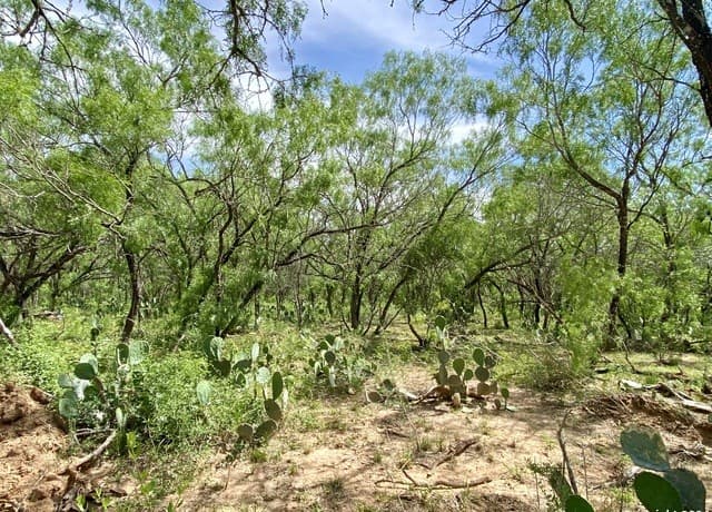 rental at TBD Dairy Road in Pleasanton, TX — photo 3