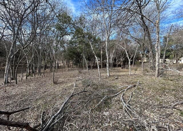 rental at 000 High St in Comfort, TX — photo 2