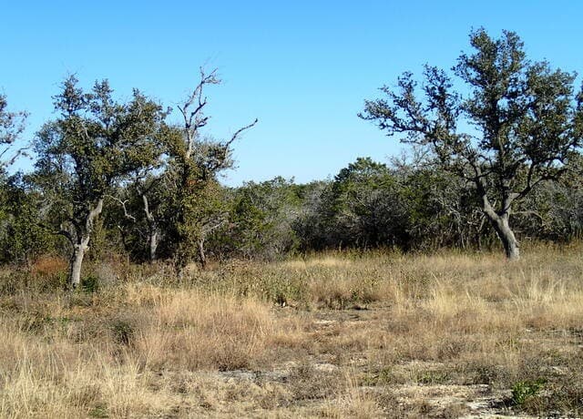 rental at LOT 119 Grand Oaks in Hondo, TX — photo 5