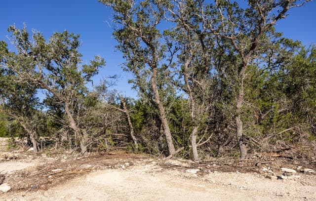 rental at 82 Swede Springs in Boerne, TX — photo 3