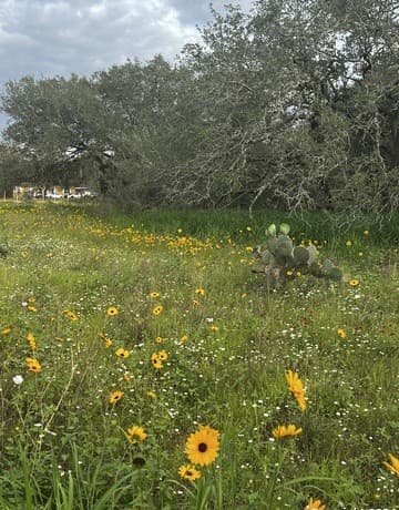 rental at LOT 28 Mariposa Dr in Poteet, TX — photo 5