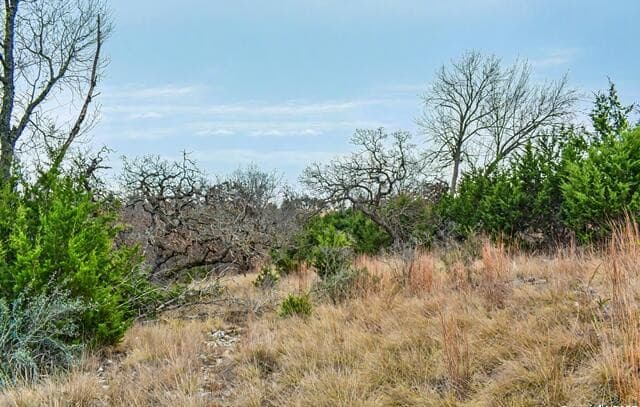 rental at 345 N Echo Falls in Comfort, TX — photo 4