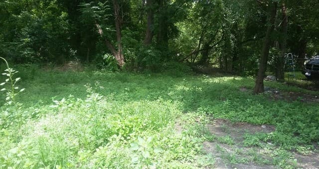 1-bedroom rental at 439 Vine St in San Antonio, TX — photo 4