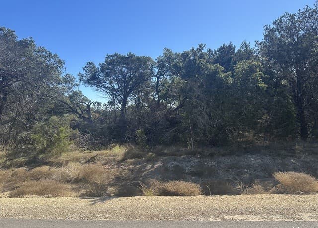 rental at 935 Serene Park in Spring Branch, TX — photo 4