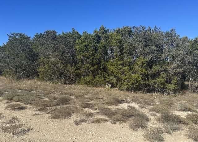 rental at 371 Serenity Pass in Spring Branch, TX — photo 4
