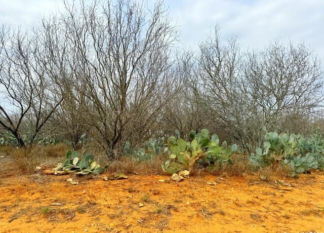 rental at TBD Old Hwy 81 Lot 5 in Moore, TX — photo 1