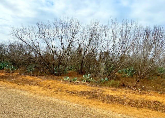 rental at TBD Old Hwy 81 Lot 6 in Moore, TX — photo 4