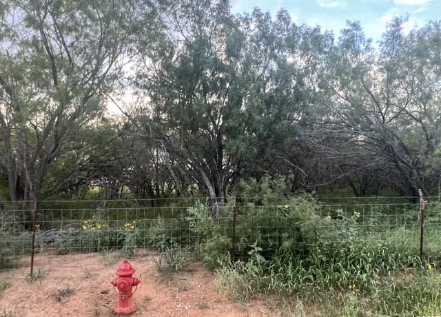 rental at 10477 Briggs in Atascosa, TX — photo 2