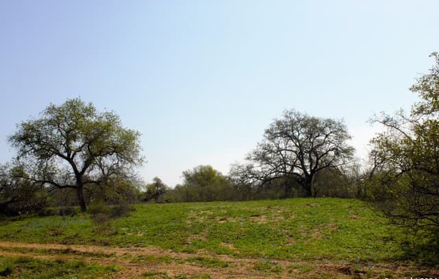 rental at 607 PR Sunset Vista Dr Lot 82 in Somerset, TX — photo 1