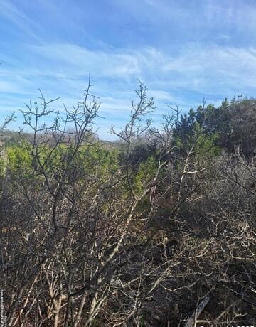 rental at 1284 levi English in Blanco, TX — photo 1