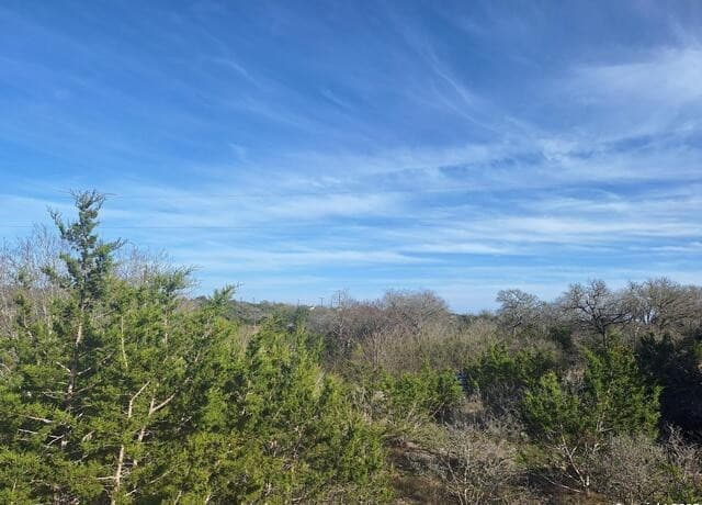 rental at 1284 levi English in Blanco, TX — photo 5